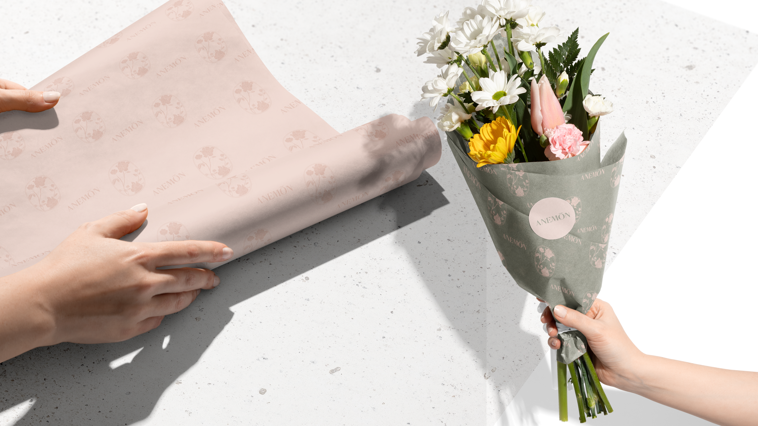 Aneomn-logoArtboard-12 Aneomn-logoArtboard-12