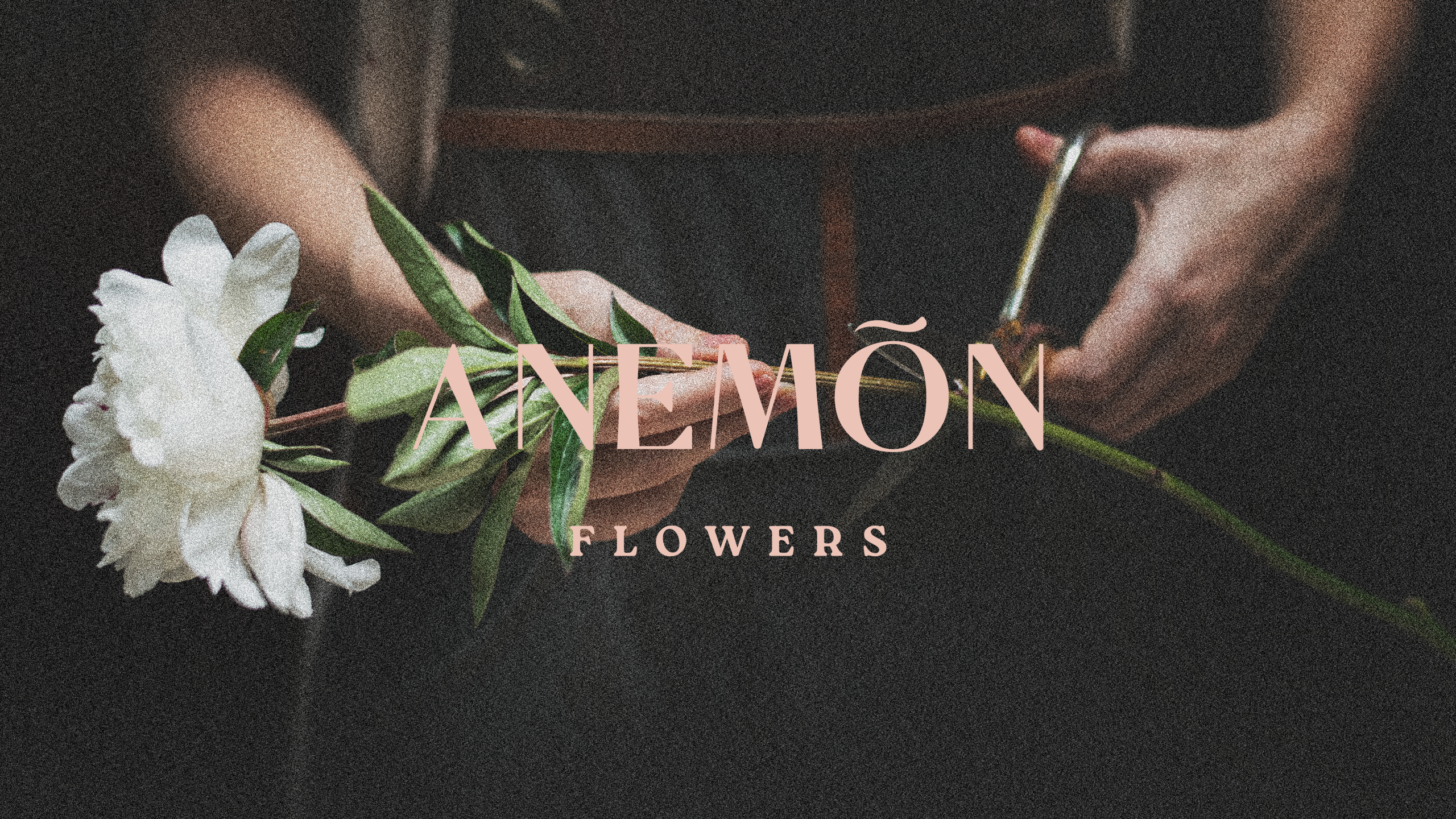 Aneomn-logoArtboard-3 Aneomn-logoArtboard-3