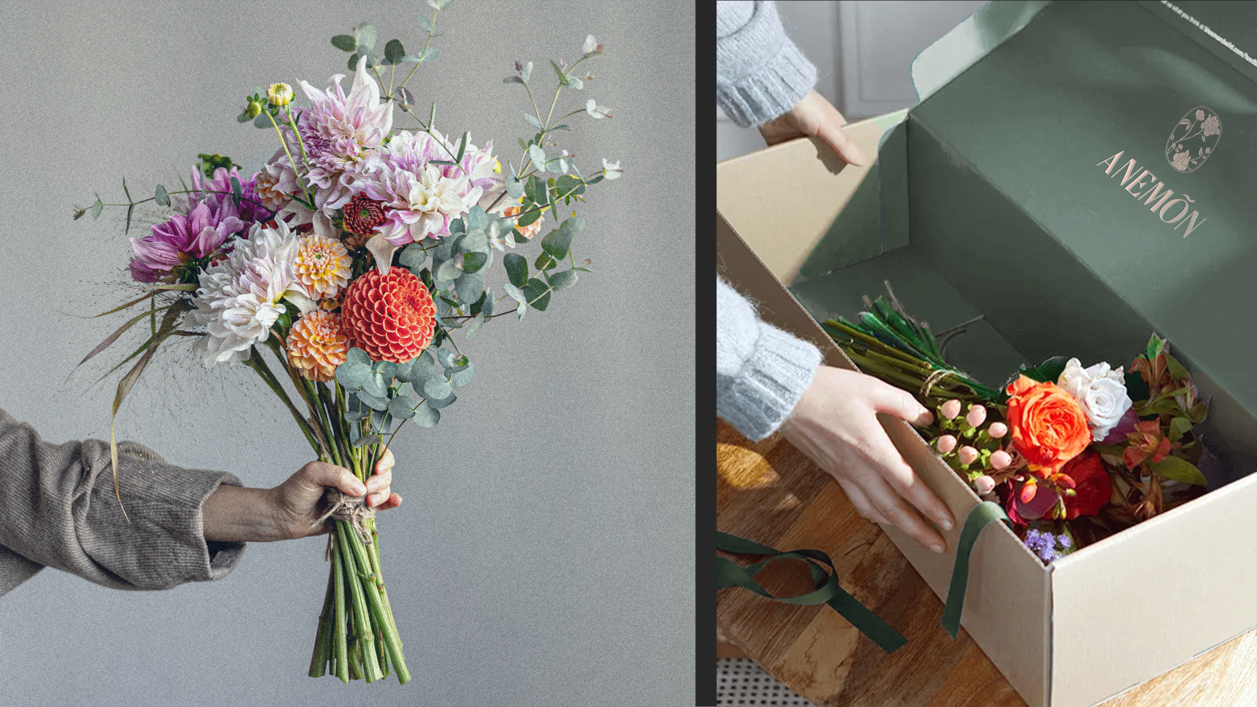 Aneomn-logoArtboard-5 Aneomn-logoArtboard-5