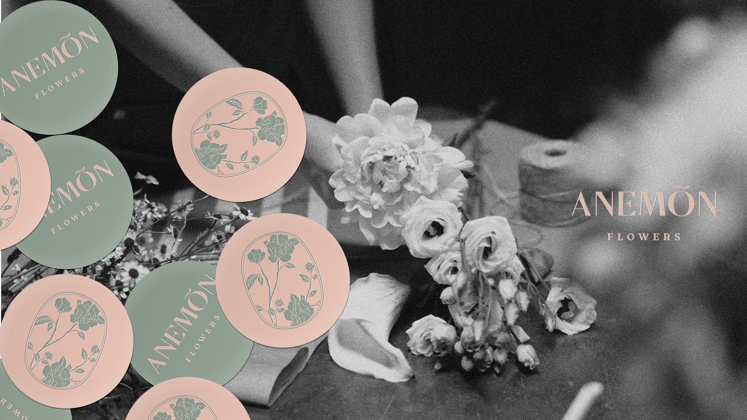 Aneomn-logoArtboard-7 Aneomn-logoArtboard-7